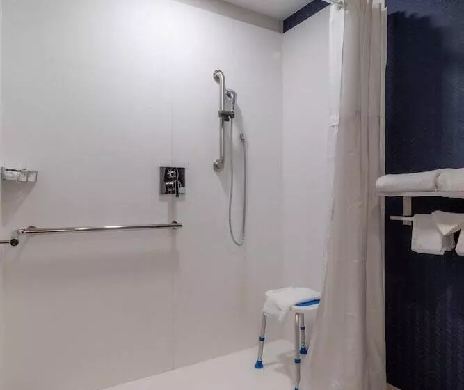 ホテル Fairfield By Marriott Inn & Suites Revelstoke