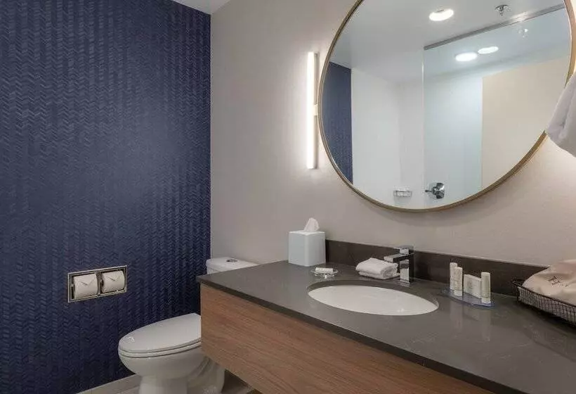 ホテル Fairfield By Marriott Inn & Suites Revelstoke