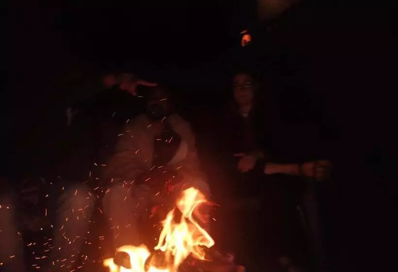 Majatalo The Jungle Heart