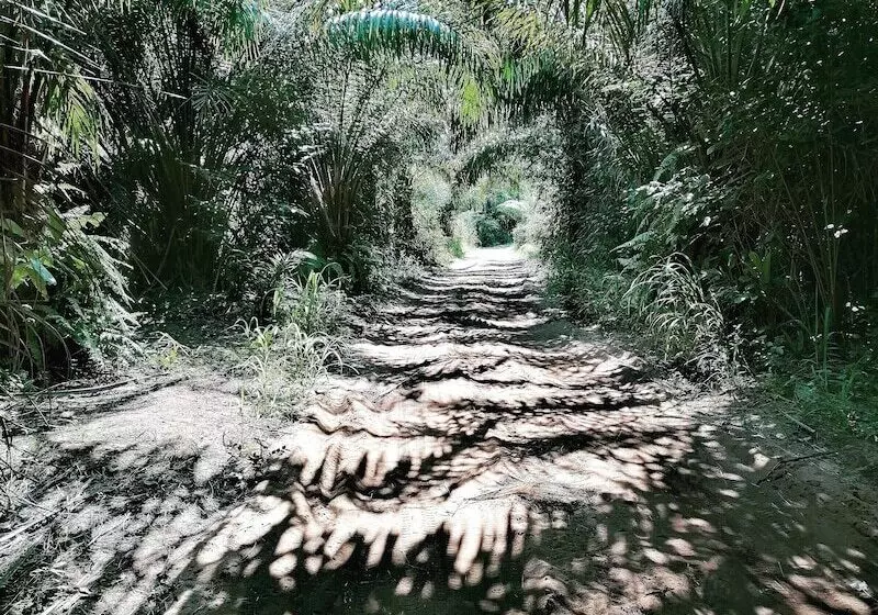 Hotelli Afro Beach Eco Resort Butre