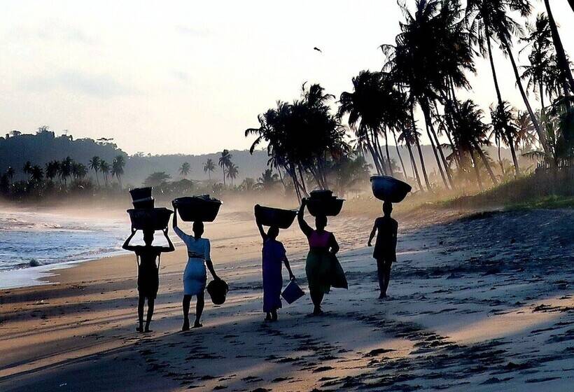 בית מלון כפרי Afro Beach Eco Resort Butre