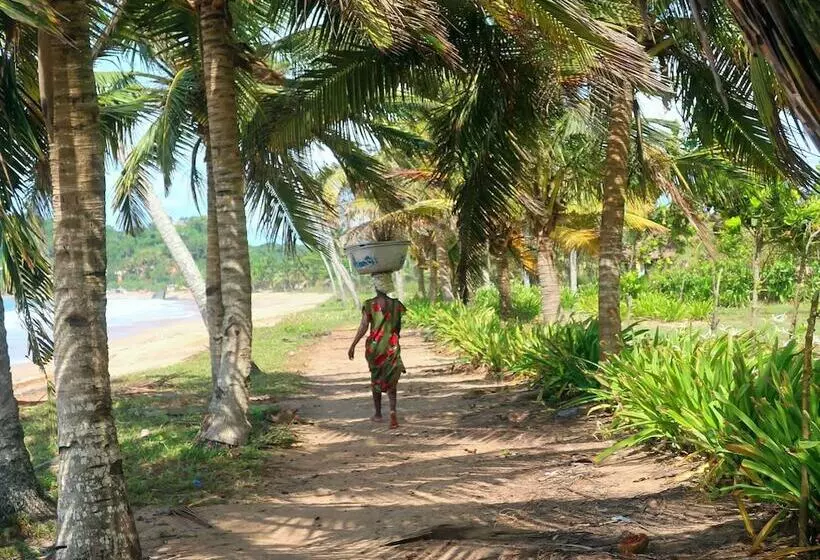 Hotelli Afro Beach Eco Resort Butre