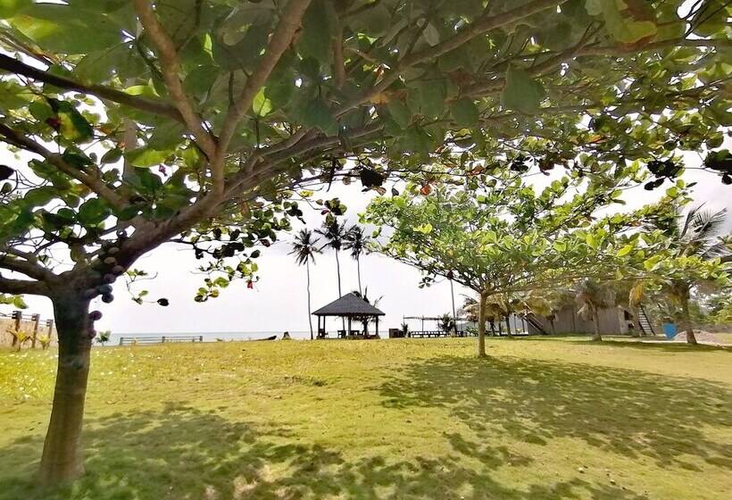 בית מלון כפרי Afro Beach Eco Resort Butre