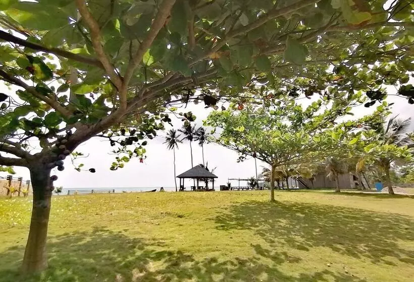 Hotelli Afro Beach Eco Resort Butre