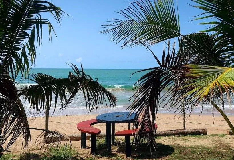 Hotelli Afro Beach Eco Resort Butre