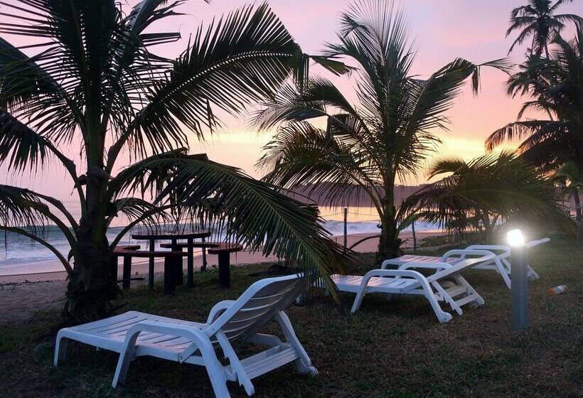 בית מלון כפרי Afro Beach Eco Resort Butre