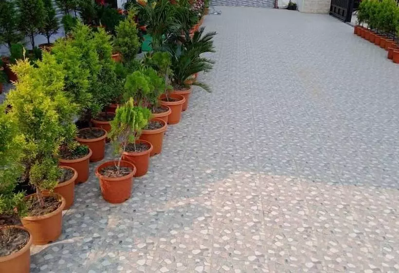 Hotelli Dayal International