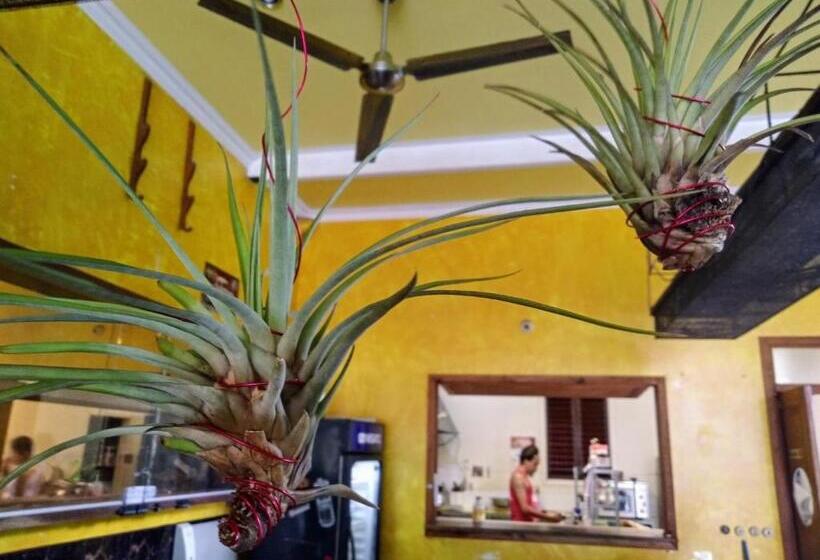 هتل The Lighthouse At Casa Max