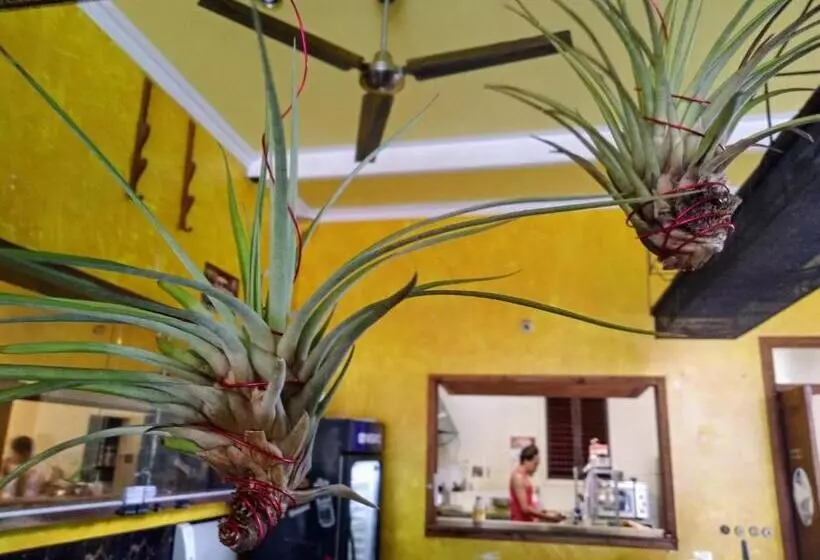 هتل The Lighthouse At Casa Max