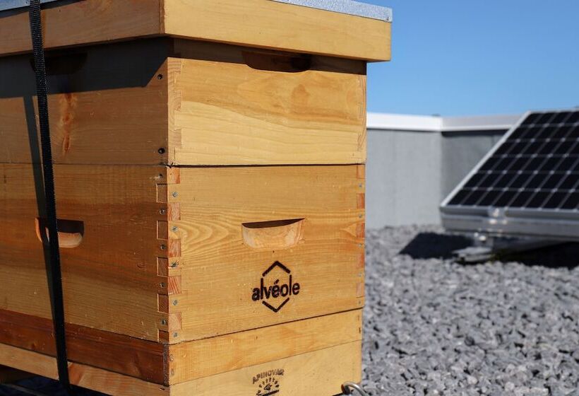 Szálloda Hyatt Place Ottawa West