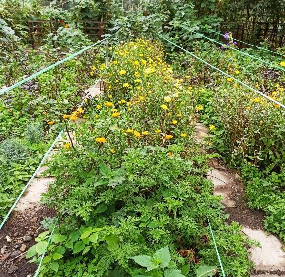 پانسیون Jermatun Guest House