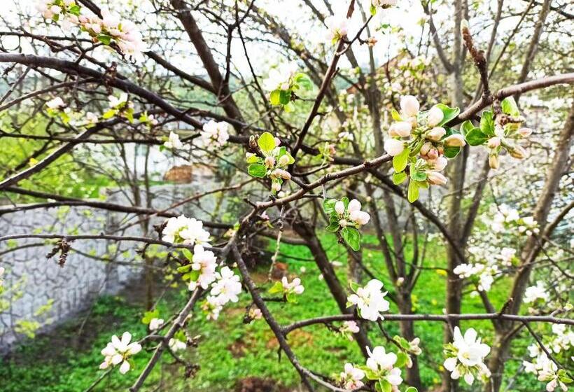 پانسیون Jermatun Guest House