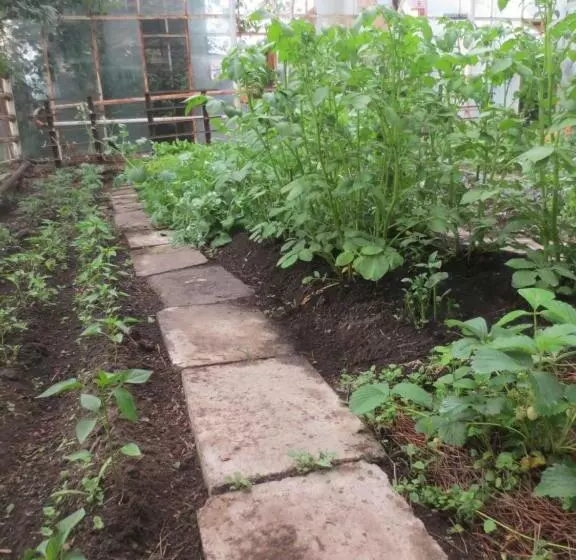 پانسیون Jermatun Guest House