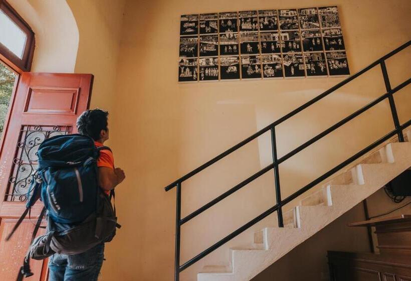 هاستل Hostal Barrio Vivo