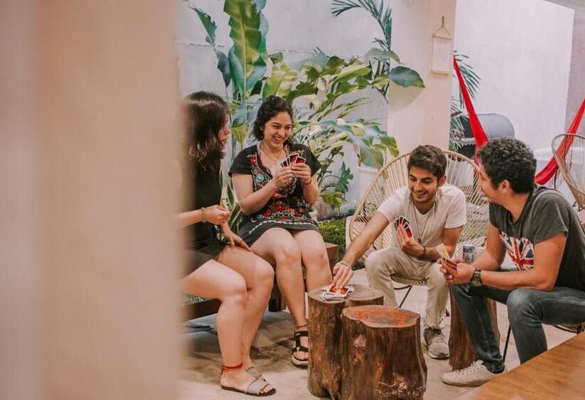 هاستل Hostal Barrio Vivo