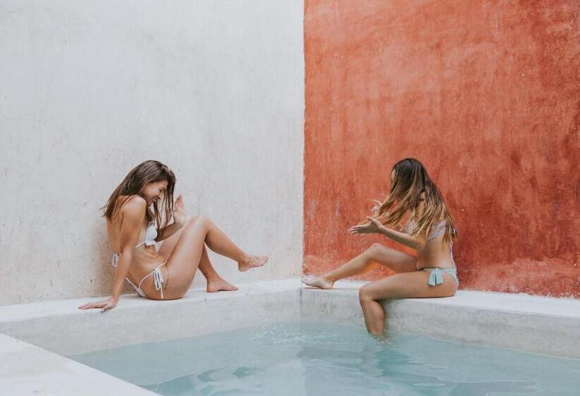 هاستل Hostal Barrio Vivo