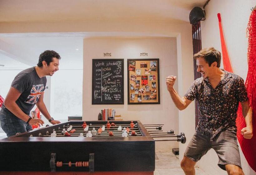 هاستل Hostal Barrio Vivo