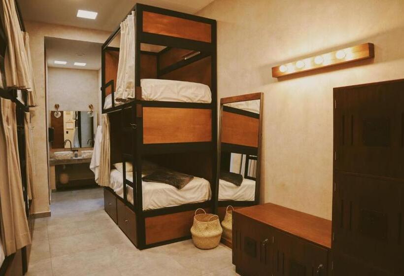 هاستل Hostal Barrio Vivo