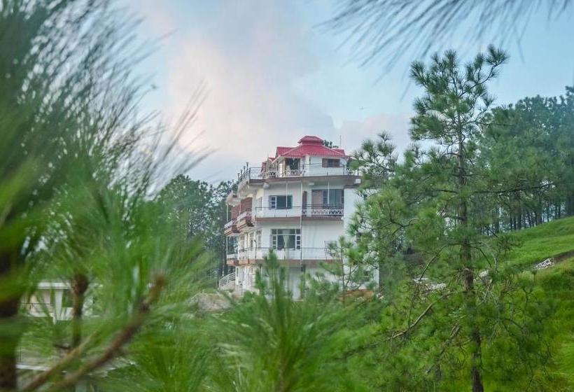 ベッドアンドブレックファースト Whispering Winds Villa