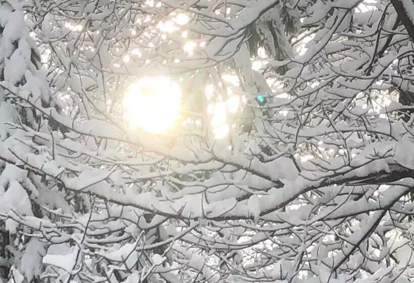 Hotelli B&b Franceschi