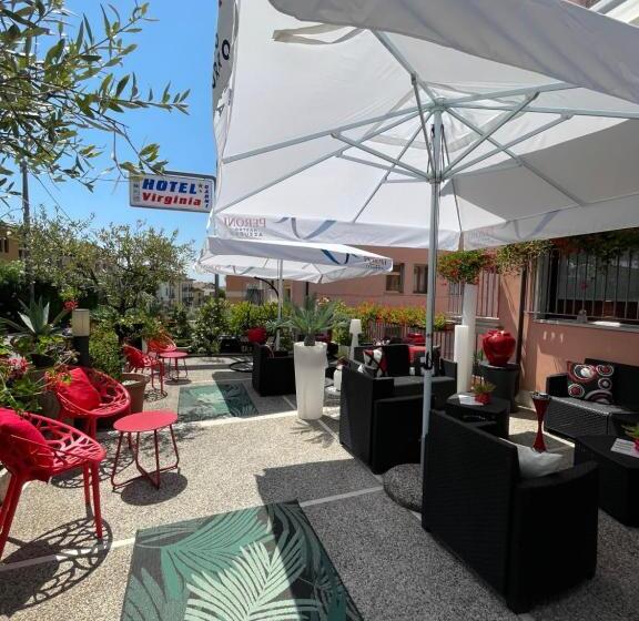 בית מלון כפרי Virginia