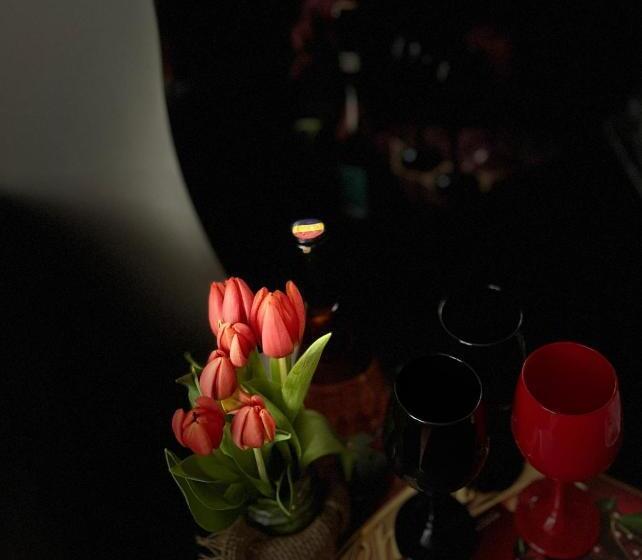 پانسیون Casa Lupascu