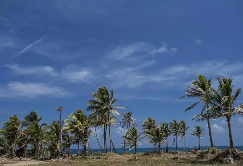 Retkeilymaja Villa Sarie Bay