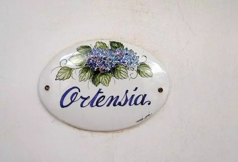 B&b Il Vicolo