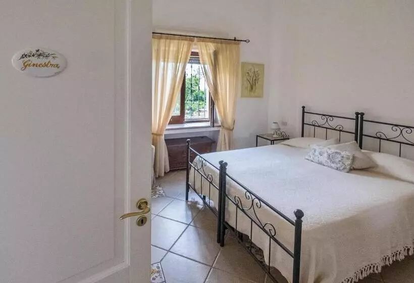 B&b Il Vicolo