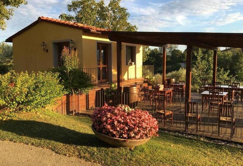 酒店 Agriturismo Petrognano