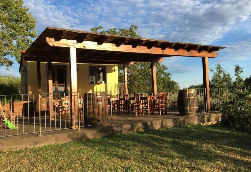 酒店 Agriturismo Petrognano