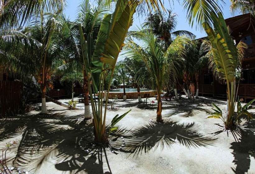 Coconut By óol Hotels