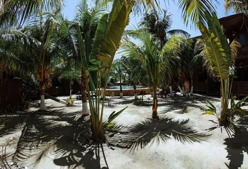 Coconut By óol Hotels