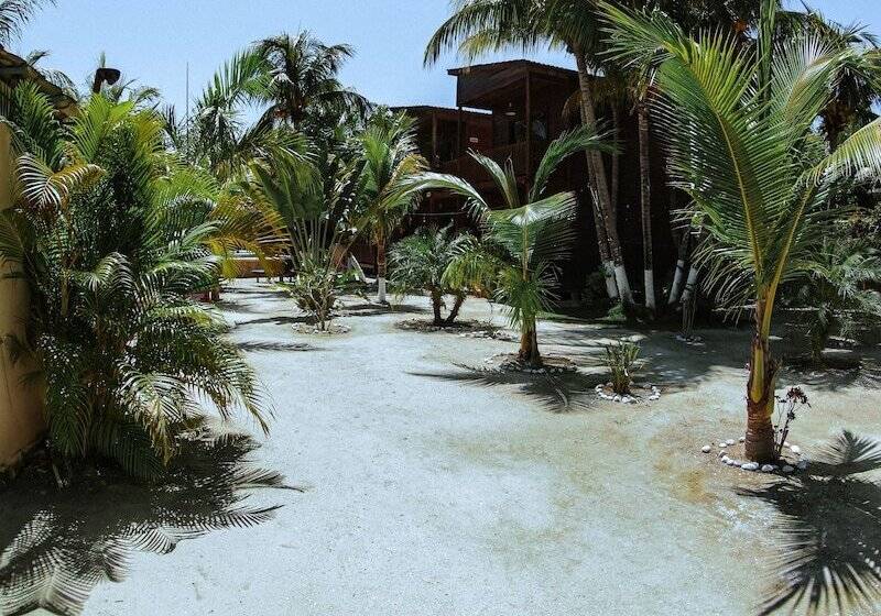 Coconut By óol Hotels