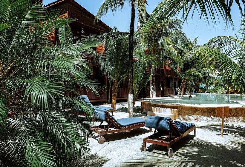 Coconut By óol Hotels