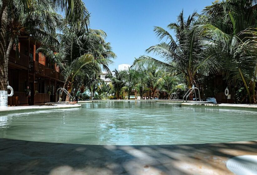 Coconut By óol Hotels