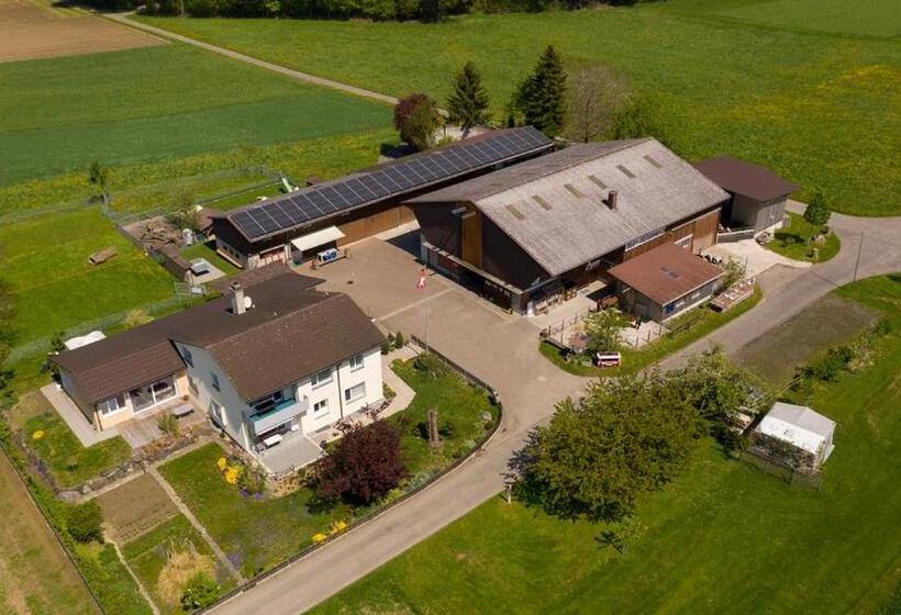 فندق Hof Tschannen