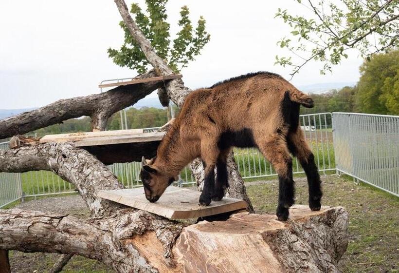 فندق Hof Tschannen