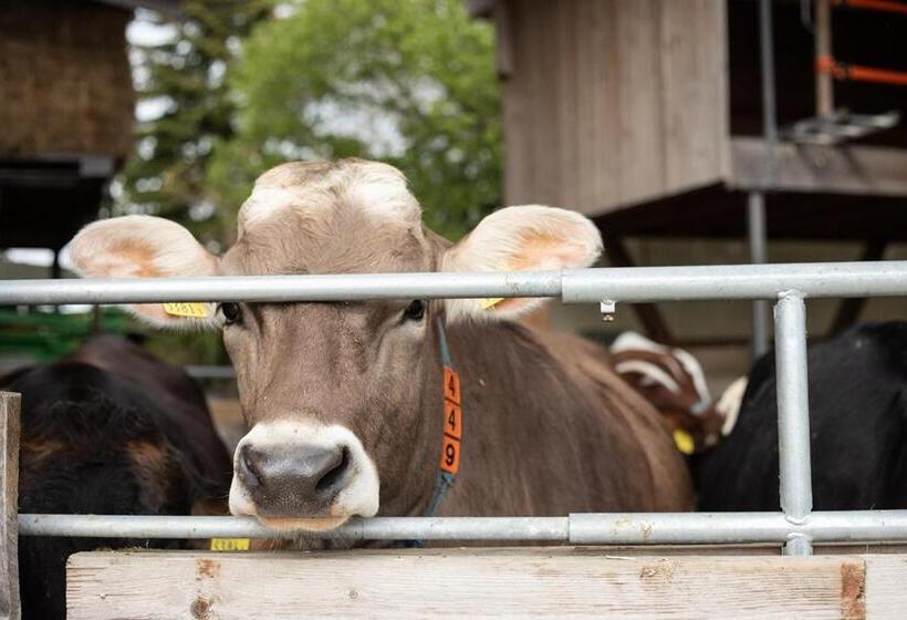 فندق Hof Tschannen