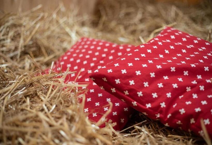 فندق Hof Tschannen