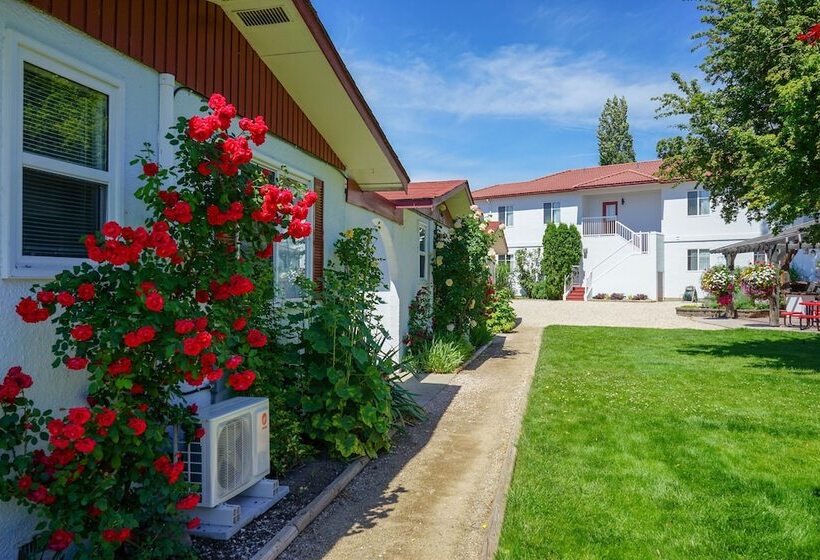 汽车旅馆 Sandy Beach Suites