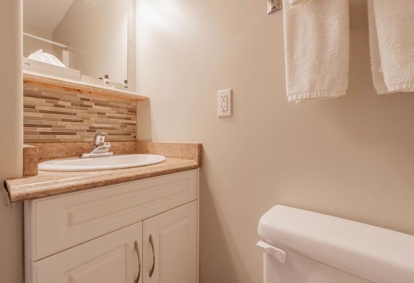 汽车旅馆 Sandy Beach Suites