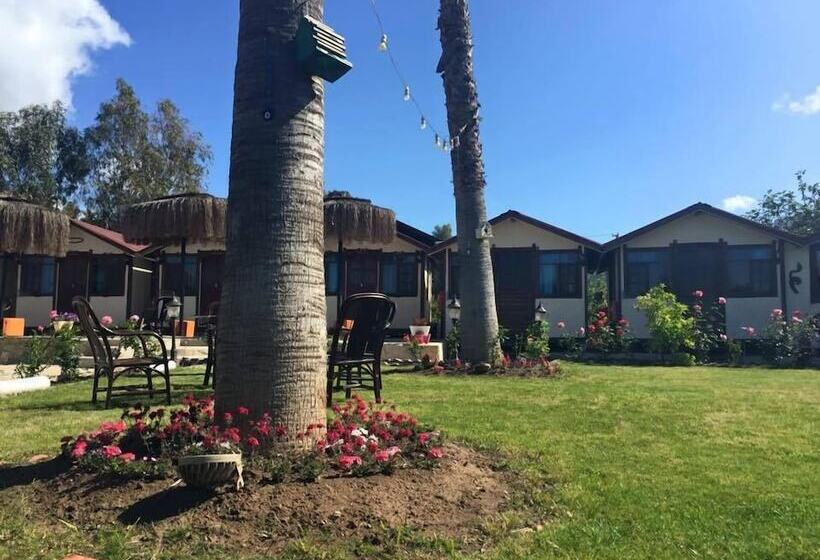 پانسیون Blu Brezza Marine