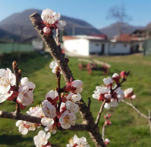 پانسیون Casa Mary Mar