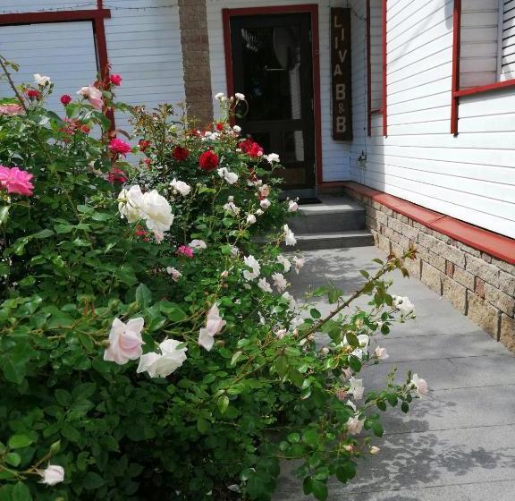 پانسیون Liiva Guest Accommodation