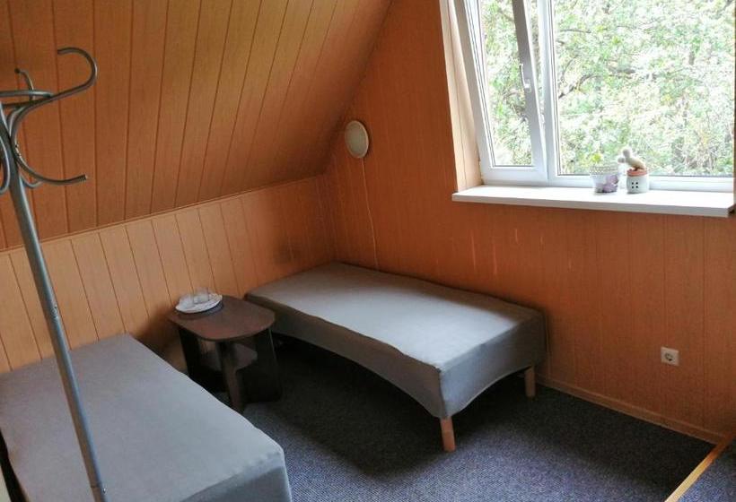 پانسیون Liiva Guest Accommodation