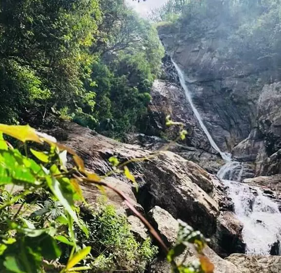 ペンション The Misty Mountain Guest House