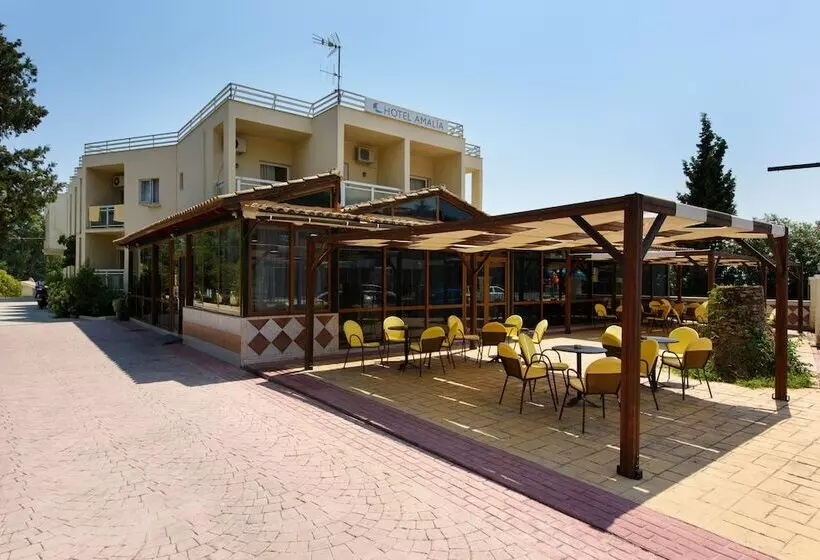 هتل Amalia