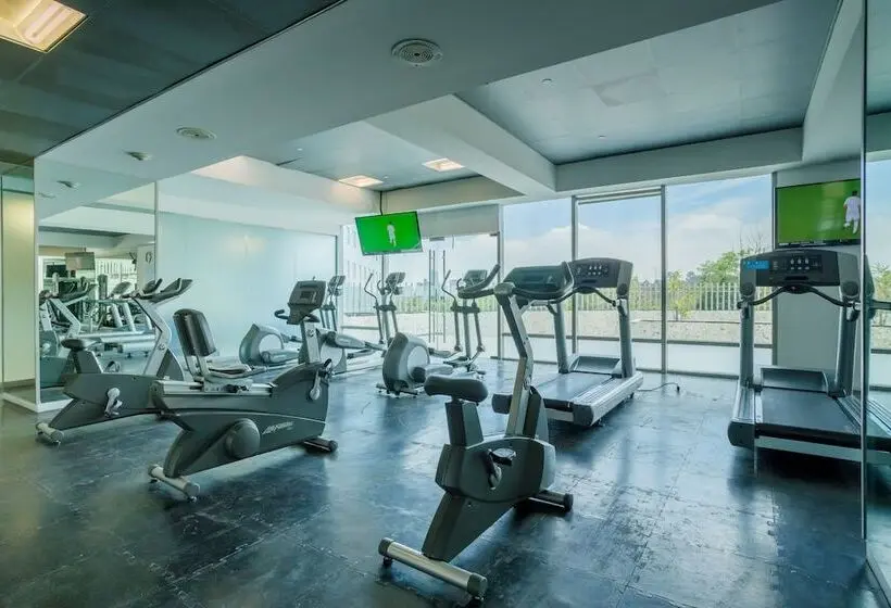 هتل Barceló México Santa Fe