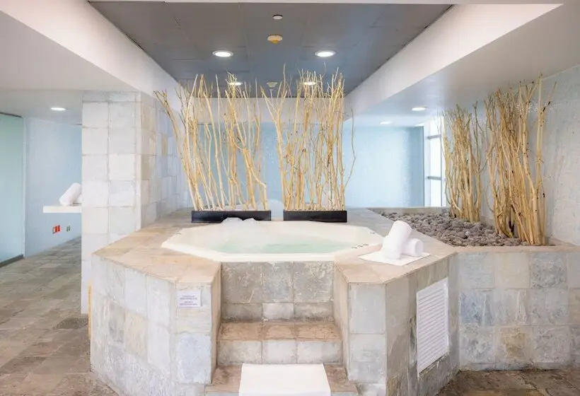 ホテル Barceló México Santa Fe